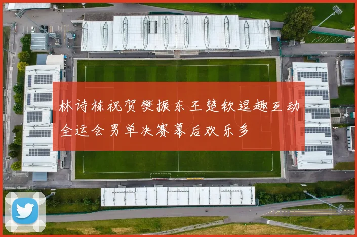 林诗栋祝贺樊振东王楚钦逗趣互动全运会男单决赛幕后欢乐多